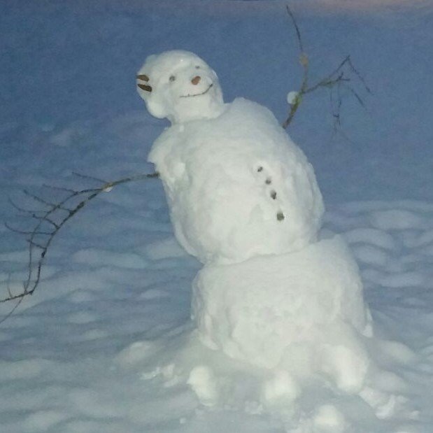 Closeup of a light gray mushroom with a broad cap, growing on the ground among fallen twigs and autumn leaves
